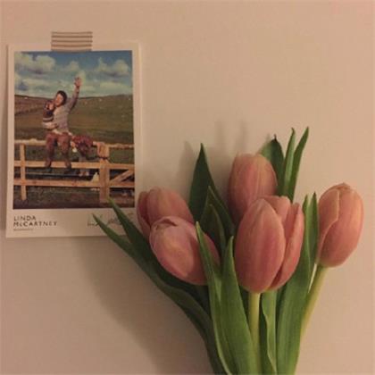 现实又很扎心的句子短句