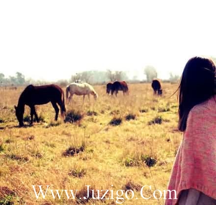 描写慢慢长大亲情的句子