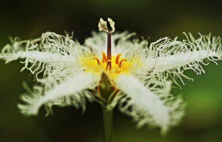 好听的游戏人物名字大全精选130个