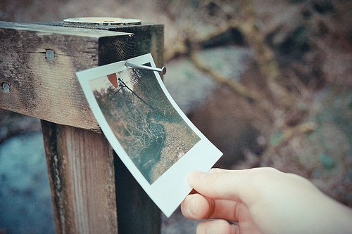 关于生命的句子85句