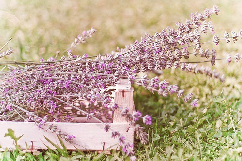 赞美别人的话 经典语句大全(24句)