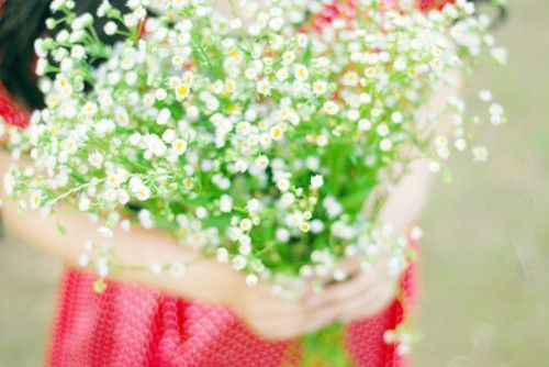 女巫的好词好句