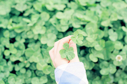 令人心碎的短句93句