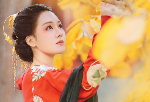 1686111075504246.png image.png