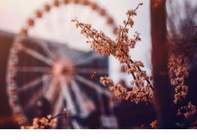 疫情复工温情话语