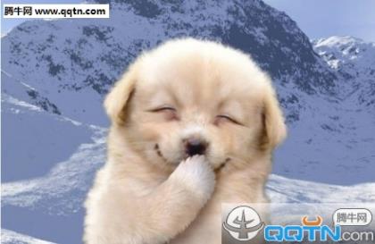 快毕业的个性签名