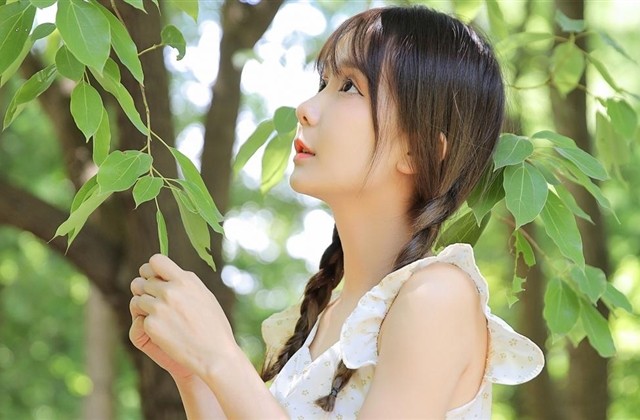 中年人生感悟的句子