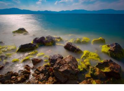 皮皮鲁传好词佳句