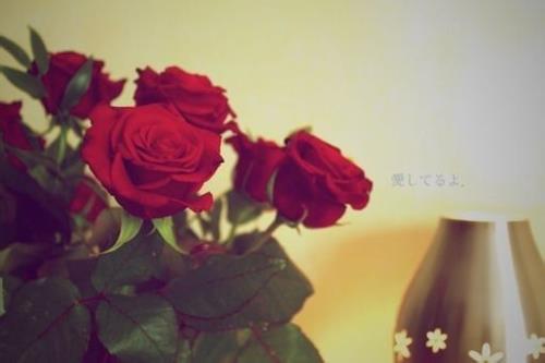 亲情最触动人心的句子