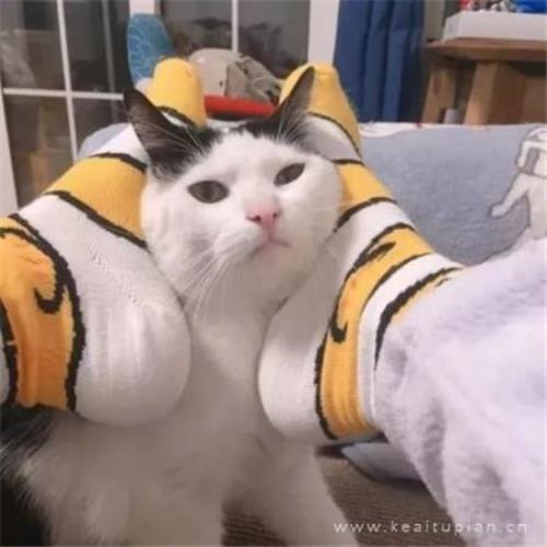 全文都是拟人的写景作文