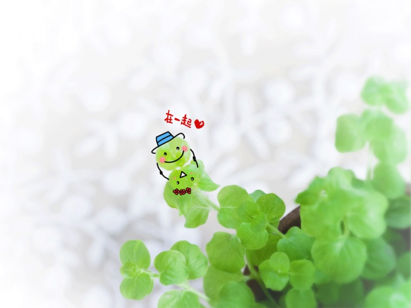 动物名称大全大全精选91个