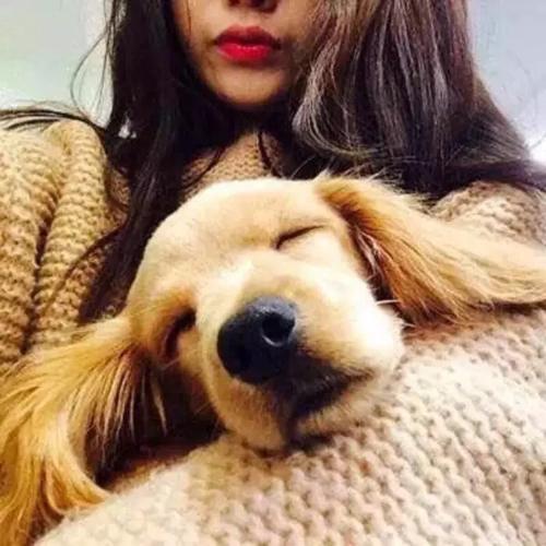 2023好听洋气的狗狗名字推荐,独一无二顺口最火高贵的狗名字-第2张图片- 2023好听洋气的狗狗名字推荐,独一无二顺口最火高贵的狗名字-第2张图片-