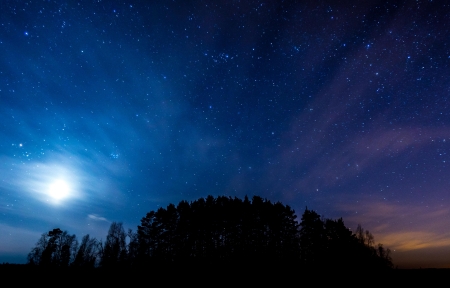 网名搞怪沙雕大全精选91个