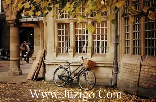 关于读书名人语录(精选75句)