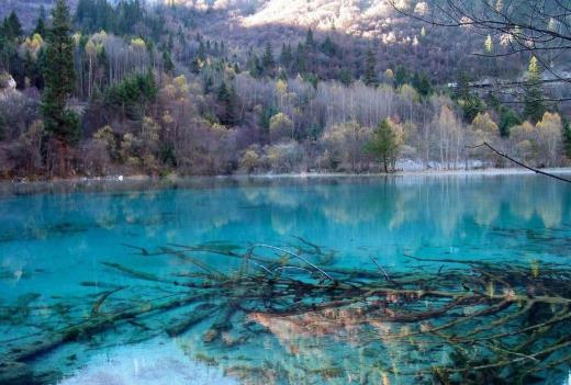我家来了个怪男人经典语录