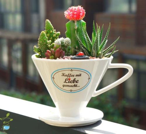 白雪公主的经典语句