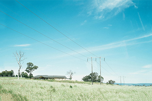 关于彼岸花的句子57句