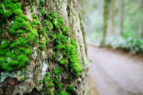 时间流逝的句子51句