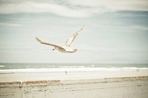 祝朋友生日快乐的说说 祝死党生日快乐的说说(29句)