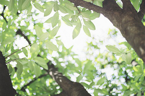 古诗中最唯美的句子