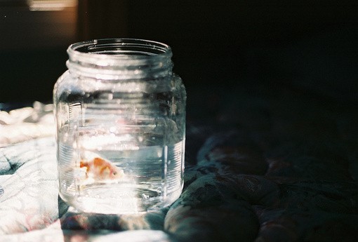 写心灵美的句子87句