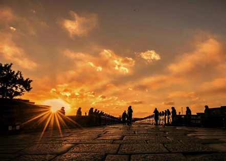 情感语录说说 经典唯美情感语录