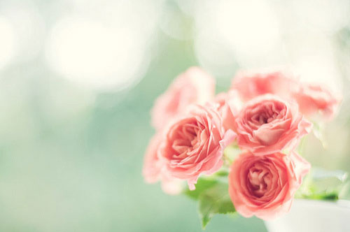 朋友圈日常生活的一句话 生活适合发朋友圈的句子