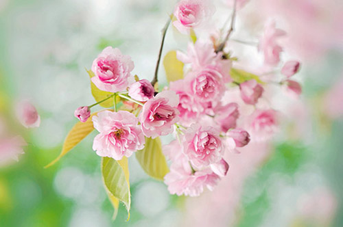 有关父亲节的短信140句