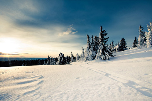 描写心大有承受能力的句子(56句)