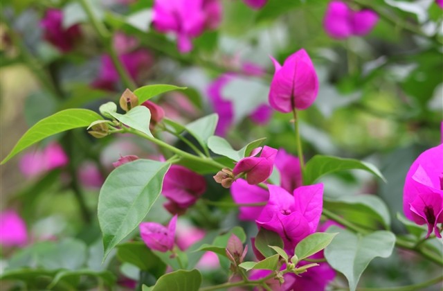 不被生活所羁绊的句子 不被生活所羁绊的句子