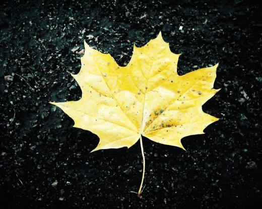 送给高三的一段话