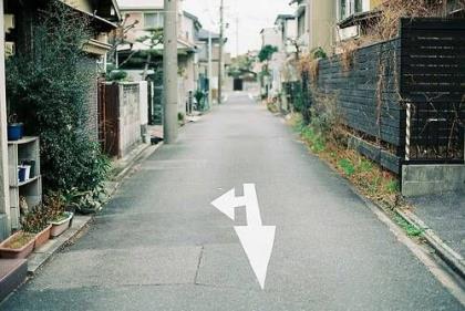 油菜花照片配简短文字