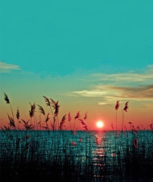 努力变优秀的简短句子