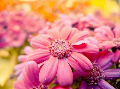 句句深入人心经典句子