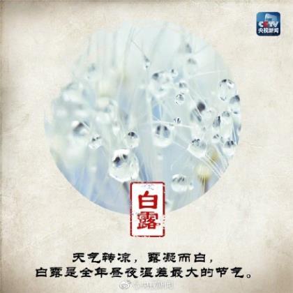 男人没本事的句子