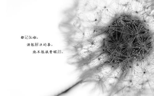 搞笑短句子能笑死人的