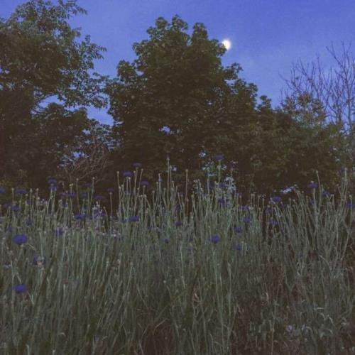 用长时间等待短时间的经典句子