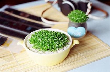 弟子感恩师父的句子