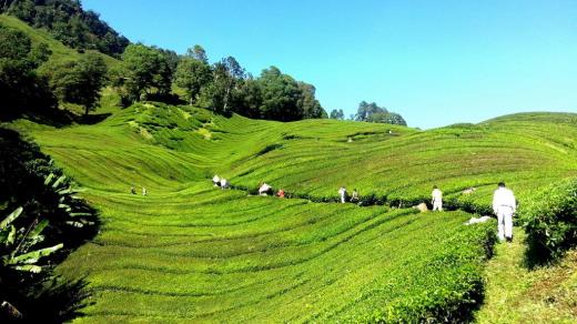 孙红雷语录经典对女人
