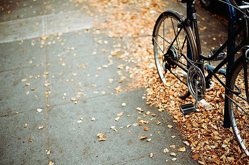 描写早晨阳光的句子59句