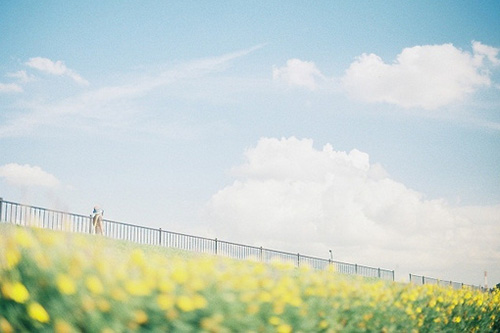 求一些扣字骂人的话 扣字骂人句子(141句)