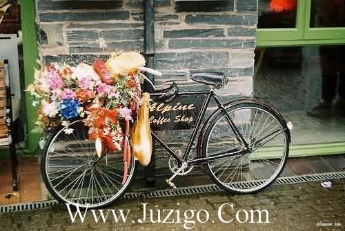 华山旅游句子53句