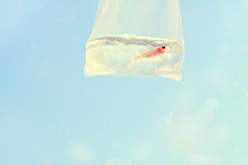 儿童节抖音句子60句