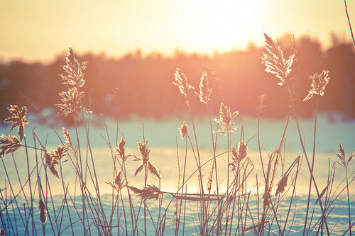 赞美别人文笔好的句子(73句)