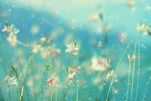 描写深秋时节的句子35句