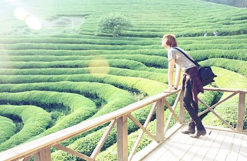 适合六一手抄报的文案句子(34句)