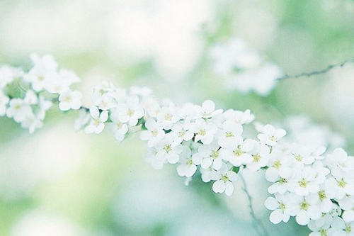 抖音上高考加油的句子73句