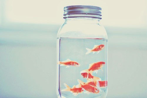 每日晨语短句 发朋友圈早安的句子(36句)