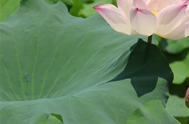 女生特别乖的网名两个字(1541个)