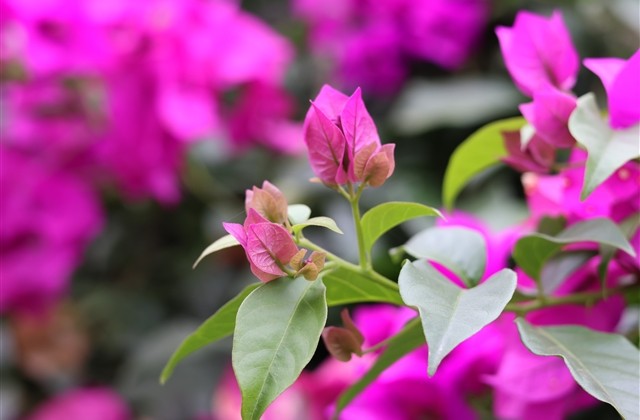 奔放有深度的网名(共1207个)